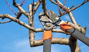 Part 1: 10 Things You Didn’t Think to Bring on Your Hunt