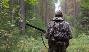Tips for Hunting on Public Land