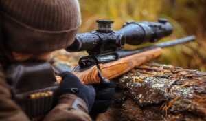 Deer Hunting: 5 Tips for Using a Decoy Deer