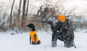 Reasons Why Winter Hunting is the Superior Season