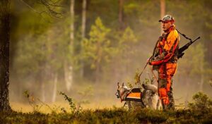 How to Deal with Predators on Your Hunt?