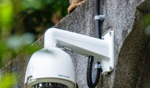 Tips for Setting up a Trail Camera