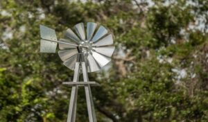 Deer Hunting Tips: 6 Methods To Determine Wind Direction