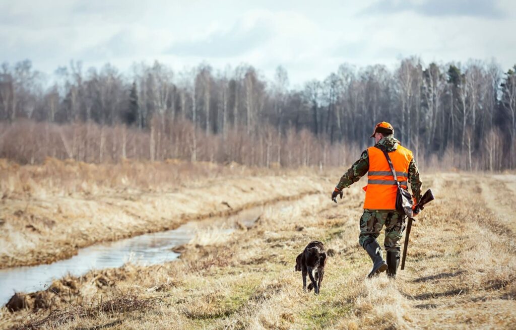 A hunting guide in an orange vest walks alongside a dog during a guided hunt in a natural setting.
