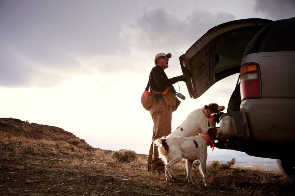 A man and a dog standing beside a dog in the back of a truck