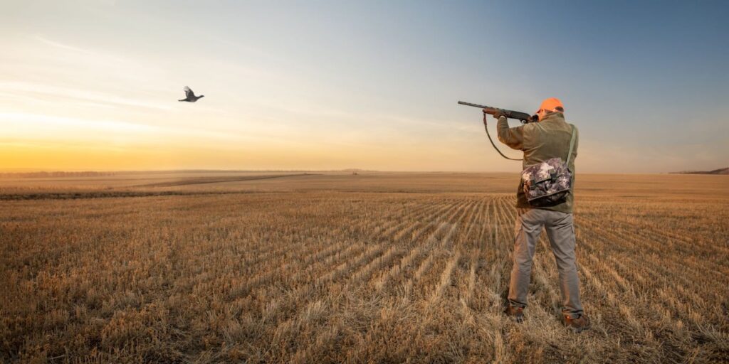 A man in a hunting outfit gazes up at a bird in the sky during a pheasant hunting expedition in Utah.