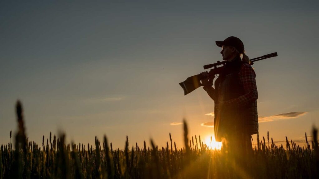 A man with a rifle stands in a field at sunset during a guided hunt trip offered by a hunting company.