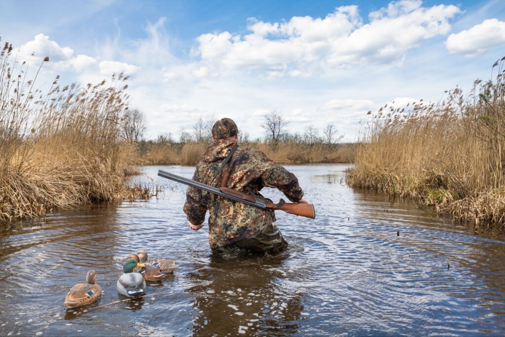 Hunter in camouflage wading through water with a rifle and duck decoys.
