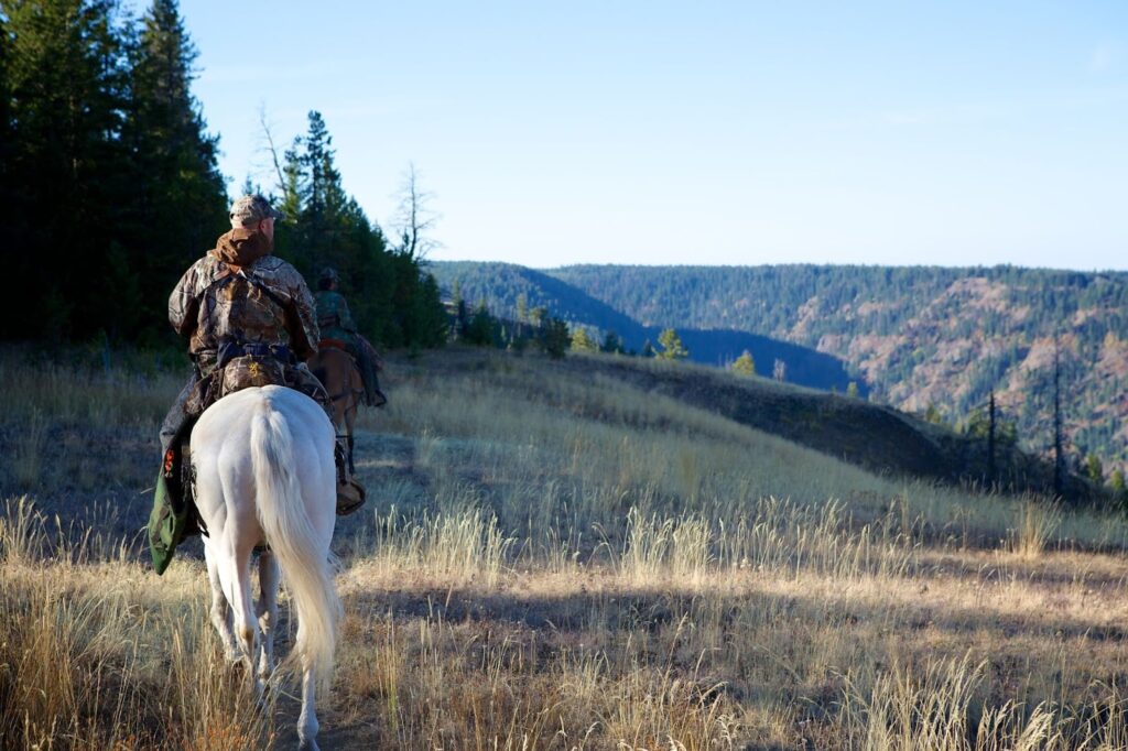 rofessional elk hunting guides and outfitters in Wyoming offering expert-led guided hunts for an unforgettable experience.